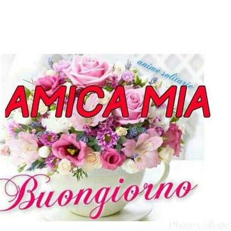 100 immagini buongiorno gratis per whatsapp|foto buongiorno gratis da scaricare.